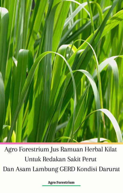 Agro Forestrium Jus Ramuan Herbal Kilat Untuk Redakan Sakit Perut Dan Asam Lambung GERD Kondisi Darurat, Agro Forestrium