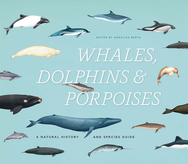 Whales, Dolphins & Porpoises, Annalisa Berta