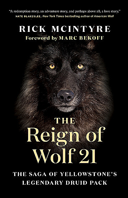 The Reign of Wolf 21, Rick McIntyre