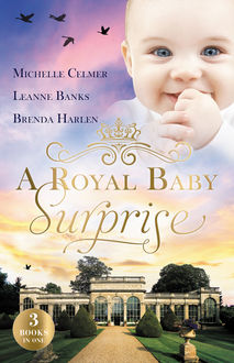 A Royal Baby Surprise/The Illegitimate Prince's Baby/How To Catch A Prince/The Prince's Second Chance, Leanne Banks, Michelle Celmer, Brenda Harlen