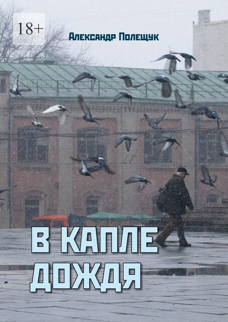 В капле дождя, Александр Полещук