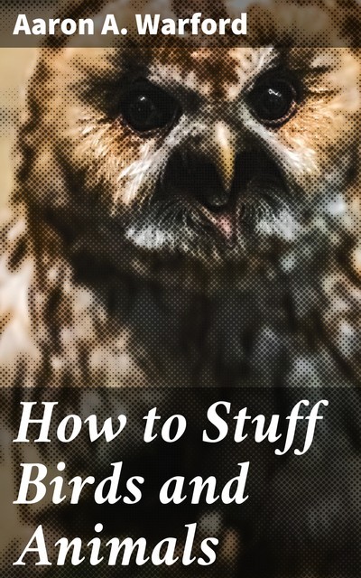 How to Stuff Birds and Animals, Aaron A. Warford