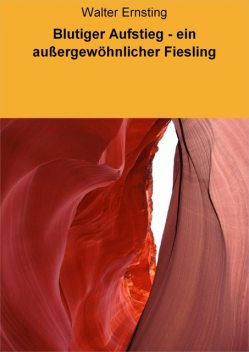 Blutiger Aufstieg – ein außergewöhnlicher Fiesling, Walter Ernsting