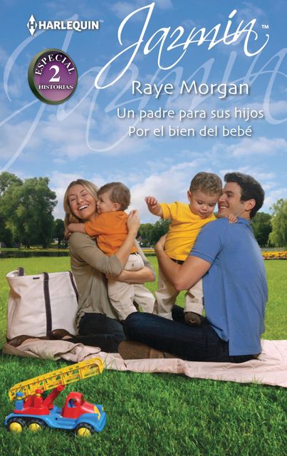 Un padre para sus hijos/Por el bien del bebé, Raye Morgan