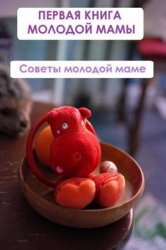 Советы молодой маме, Илья Мельников