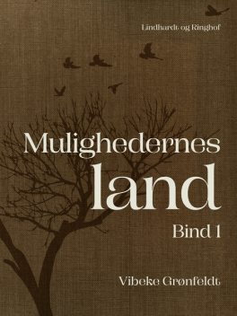 Mulighedernes land. Bind 1, Vibeke Grønfeldt