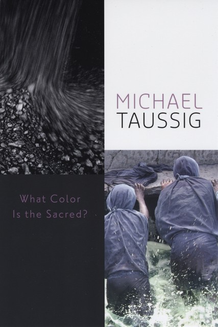 What Color Is the Sacred, Michael Taussig