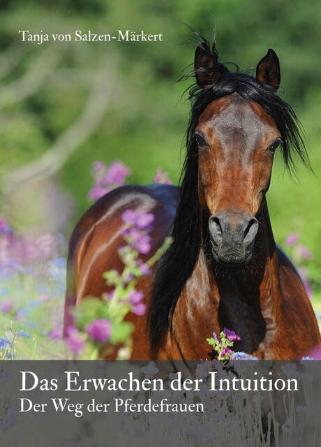 Das Erwachen der Intuition, Tanja von Salzen-Märkert