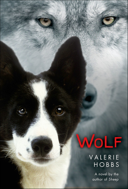 Wolf, Valerie Hobbs