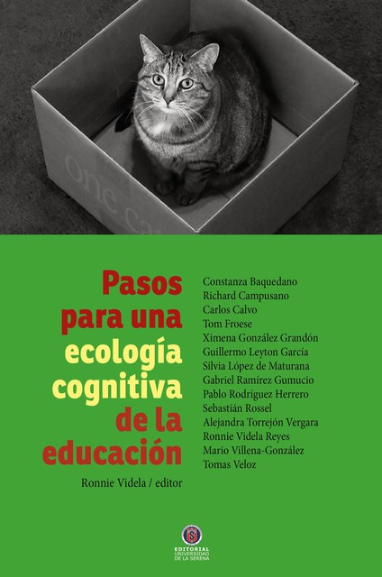 Pasos para una ecología cognitiva de la educación, Ronnie Videla Reyes