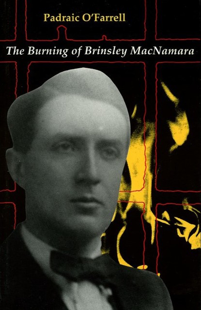 The Burning of Brinseley MacNamara, Padraic O' Farrell