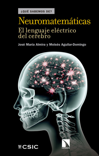 Neuromatemáticas, José María Almira, Moisés Aguilar