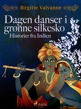 Dagen danser i grønne silkesko. Historier fra Indien, Birgitte Valvanne