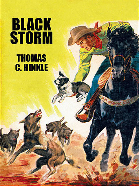 Black Storm, Thomas C.Hinkle