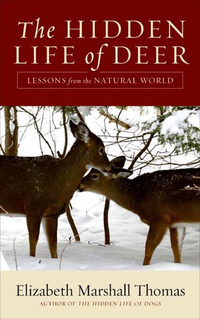 The Hidden Life of Deer, Elizabeth Marshall Thomas