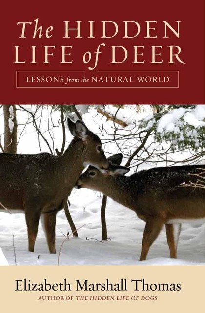 The Hidden Life of Deer, Elizabeth Marshall Thomas