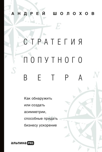 Стратегия попутного ветра. Как обнаружить или создать асимметрии, способные придать бизнесу ускорение, Андрей Шолохов