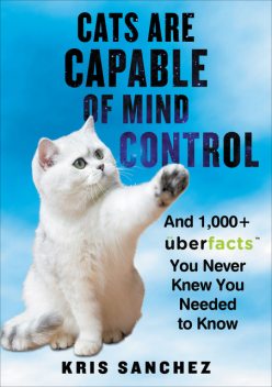 Cats Are Capable of Mind Control, Kris Sanchez