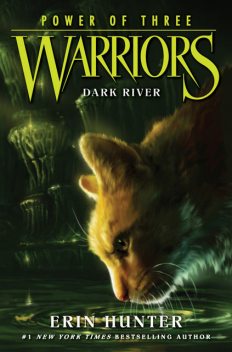 Warriors: Power of Three #2: Dark River, Erin Hunter