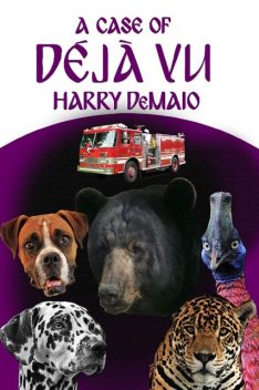 A Case of Déjà Vu, Harry DeMaio