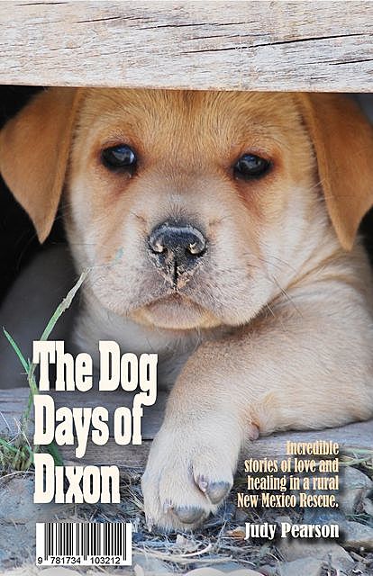 The Dog Days of Dixon, Judith L Pearson