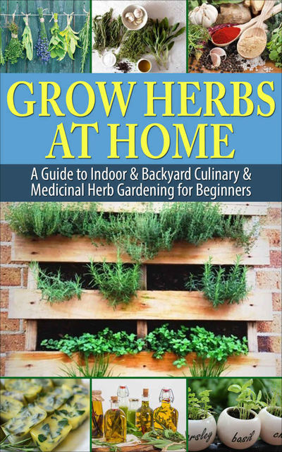Grow Herbs at Home: A Guide To Indoor & Backyard Culinary & Medicinal Herb Gardening for Beginners, Simple Guides Publishing