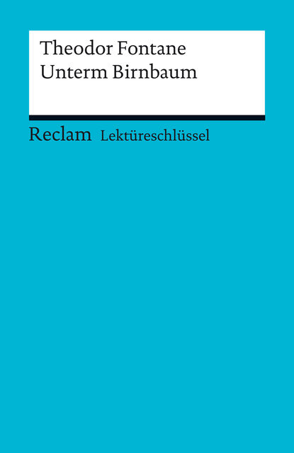 Lektüreschlüssel. Theodor Fontane: Unterm Birnbaum, Michael Bohrmann
