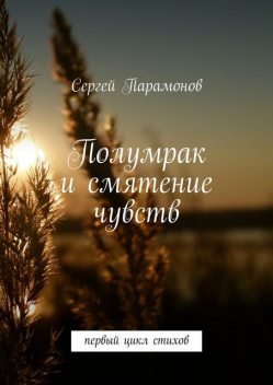 Полумрак и смятение чувств, Сергей Парамонов