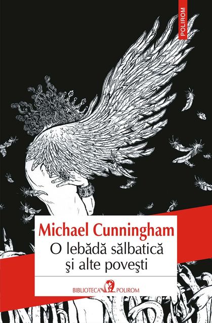 O lebădă sălbatică și alte povești, Michael Cunningham