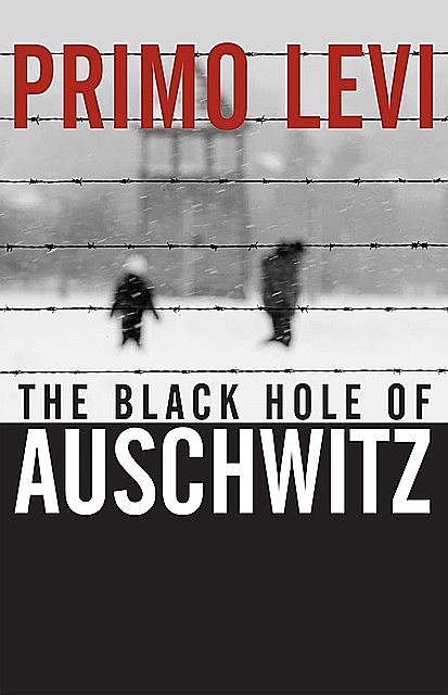 The Black Hole of Auschwitz, Primo Levi, Sharon Wood, Marco Belpoliti