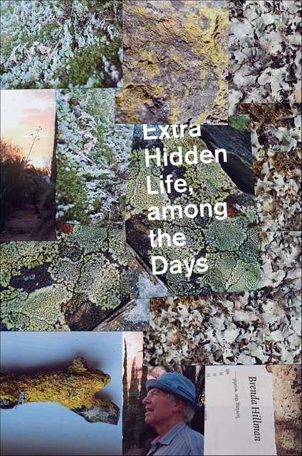 Extra Hidden Life, among the Days, Brenda Hillman