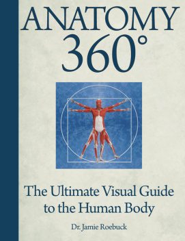 Anatomy 360, Jamie Roebuck