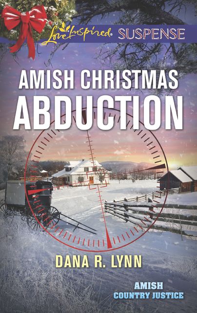 Amish Christmas Abduction, Dana R. Lynn