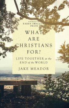 What Are Christians For, Jake Meador