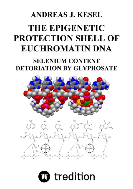 THE EPIGENETIC PROTECTION SHELL OF EUCHROMATIN DNA, Andreas Johannes Kesel