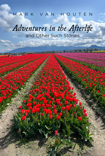 Adventures in the Afterlife and Other Such Stories, Mark Van Houten