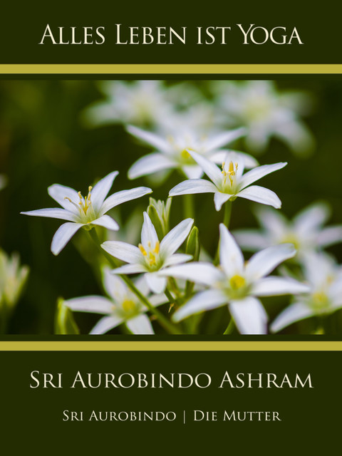 Sri Aurobindo Ashram, Sri Aurobindo, The Mother