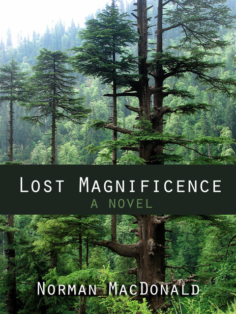 Lost Magnificence, Norman MacDonald