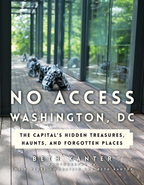 No Access Washington, DC, Beth Kanter
