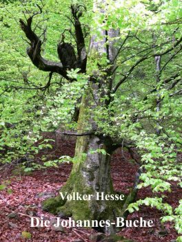 Die Johannes-Buche, Volker Hesse
