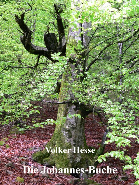 Die Johannes-Buche, Volker Hesse