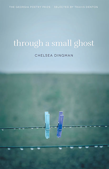 Through a Small Ghost, Chelsea Dingman