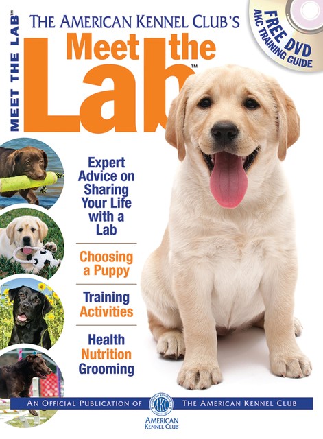 Meet the Lab, American Kennel Club