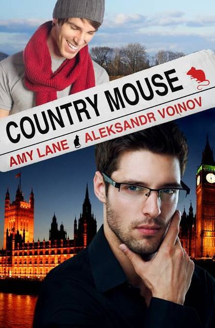Country Mouse, Amy Lane