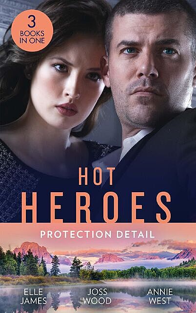 Hot Heroes: Protection Detail, Annie West, Elle James, Joss Wood