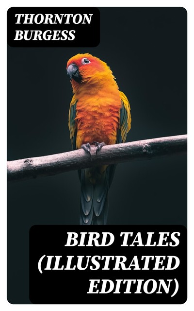Bird Tales (Illustrated Edition), Thornton Burgess