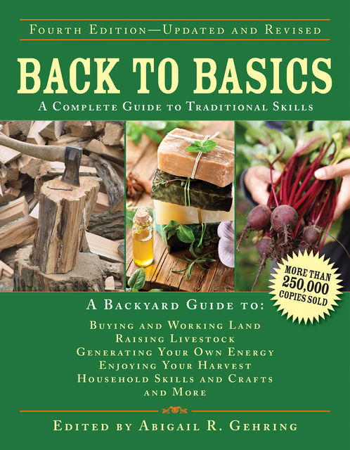 Back to Basics, Abigail R.Gehring