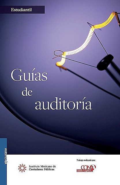 Guías de Auditoría, COMISIÓN DE NORMAS DE AUDITORÍA Y ASEGURAMIENTO
