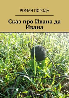 Сказ про Ивана да Ивана, Роман Погода