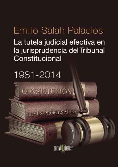 La tutela judicial efectiva en la jurisprudencia del Tribunal Constitucional. 1981–2014, Emilio Salah Palacios